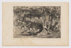 La Cigognière au Jardin d'Acclimatation