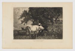 La Source de Neslette en Normandie