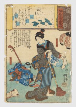 Kashiwagi (Roble n.° 36) / Genji kumo ukiyoe awase