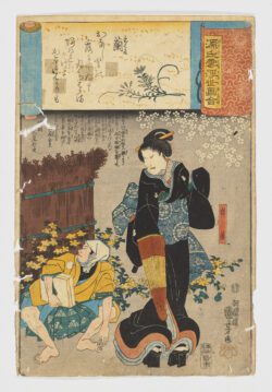 Fujibakama (Pantalones morados n.° 30) / Genji kumo ukiyoe awase