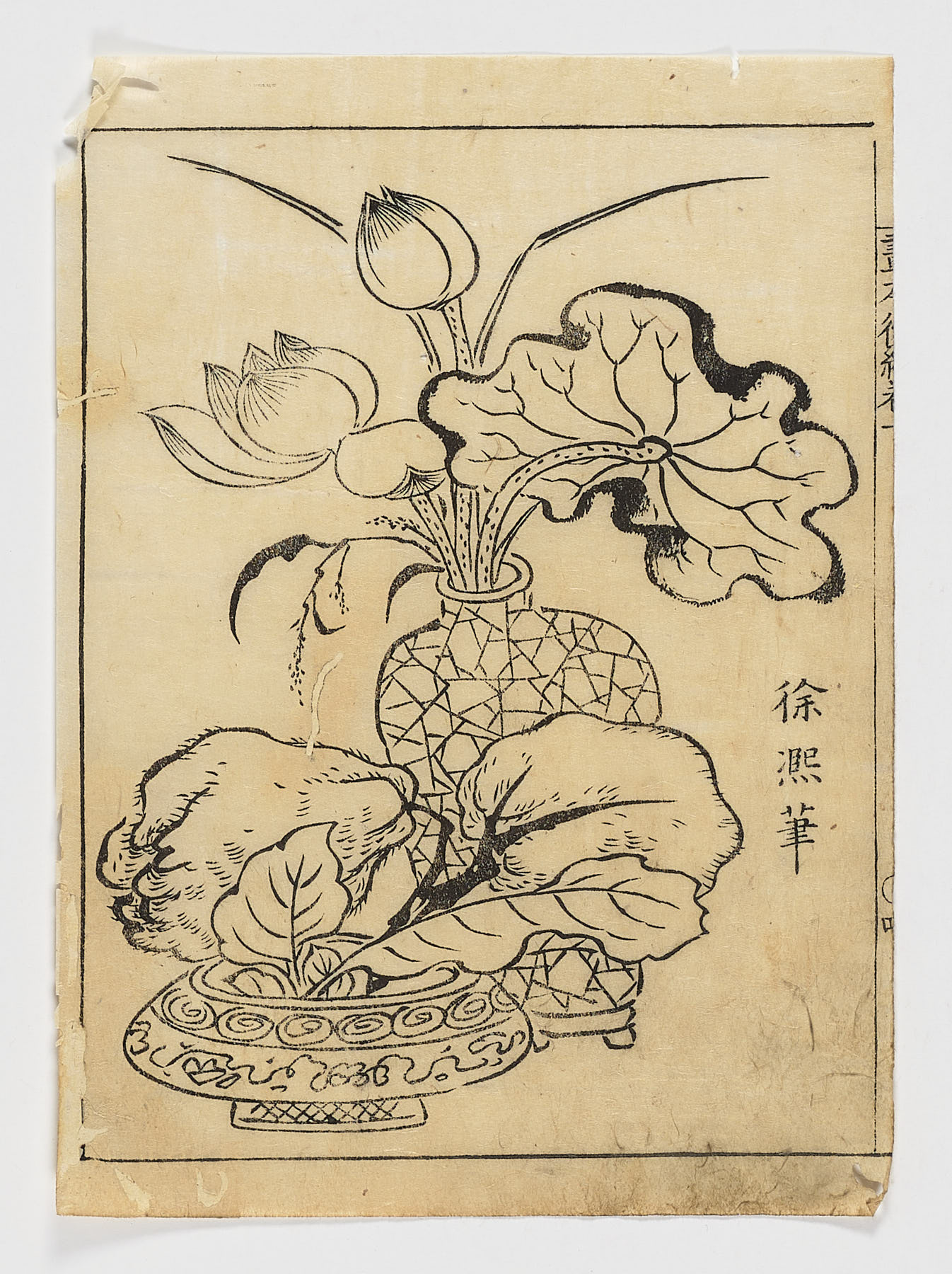 Loto en florero, Tachibana Morikuni