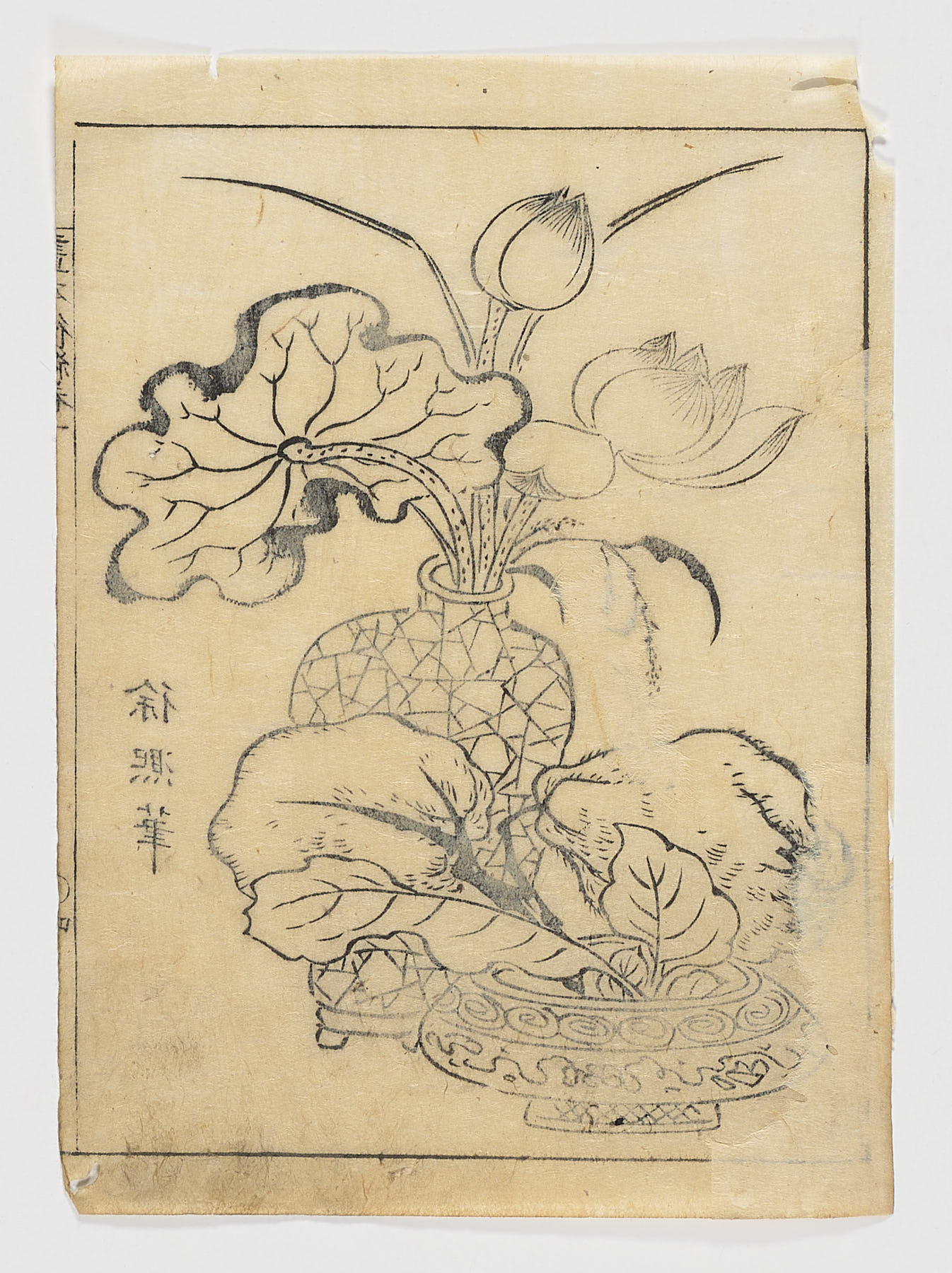 Loto en florero, Tachibana Morikuni