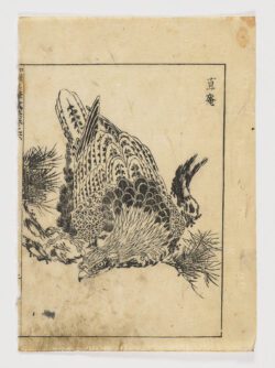 Águila sobre un pino, Tachibana Morikuni