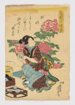 Hanagaki Imayō, Peonía