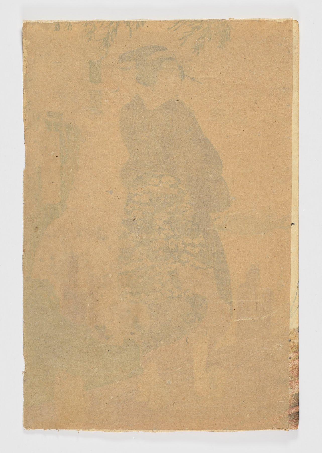 Edo Murasaki - Imagen 2