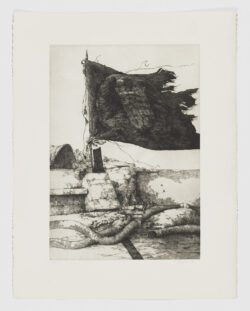 Discurso cárdeno III, la bandera, José Hernández