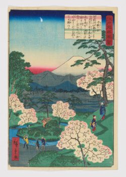 Edo meishô zue