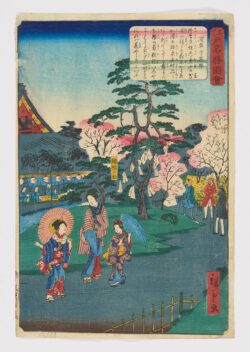 Sensô-ji hanayashiki