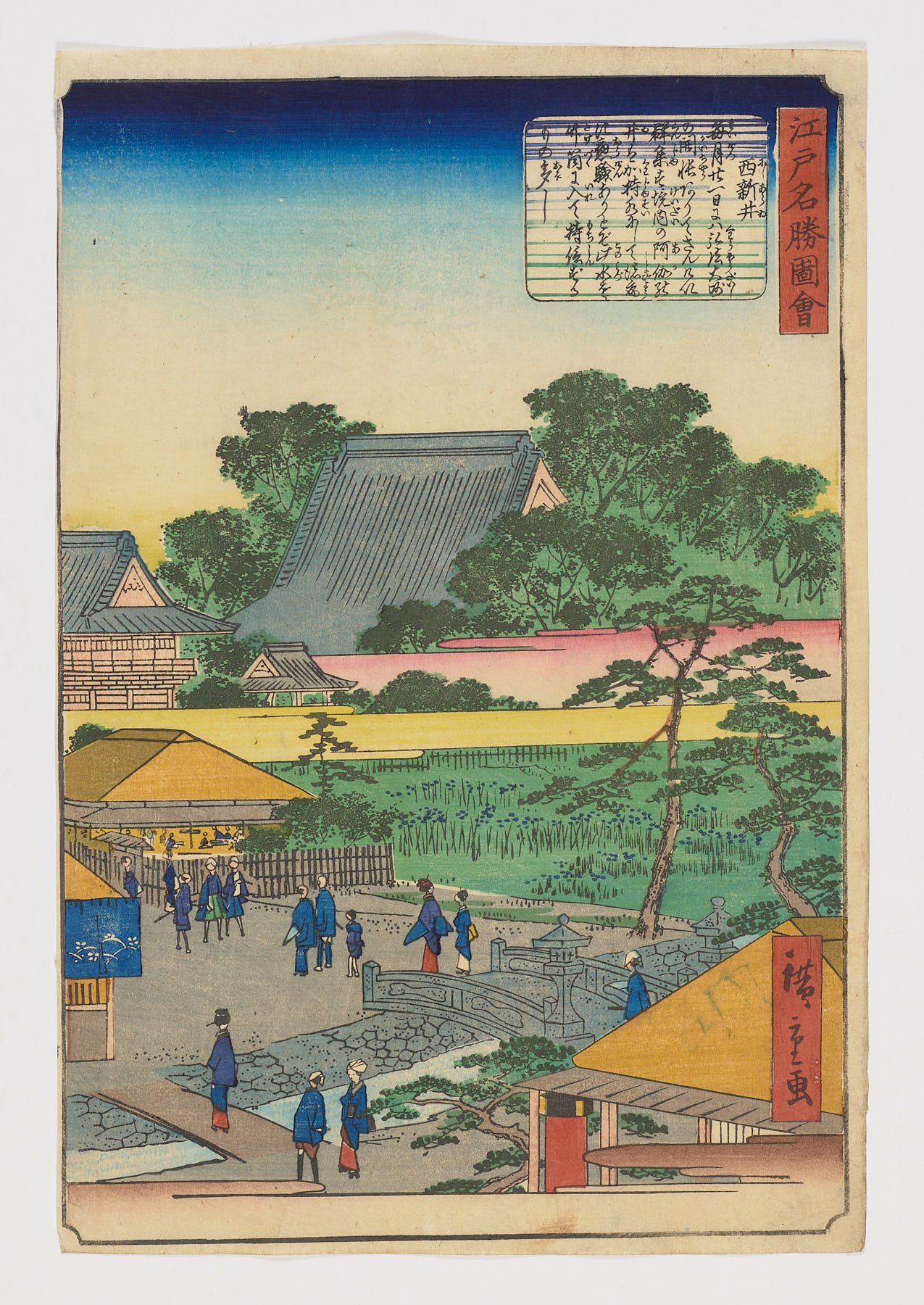 Nishi Arai