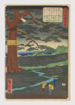 Miyuki no matsu