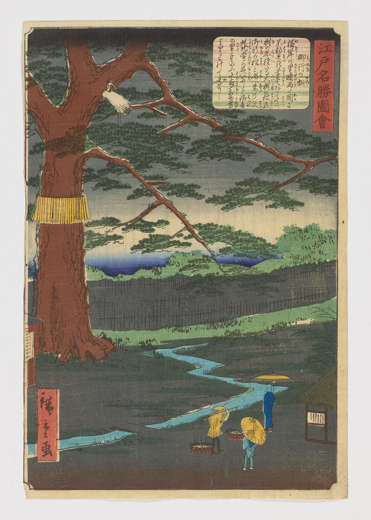 Miyuki no matsu