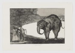 Otras leyes por el pueblo, Francisco de Goya