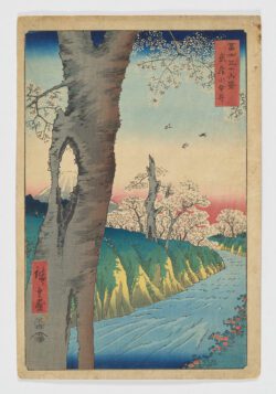 Koganei-Fuji Sanjurokkei