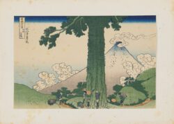 La vista del monte Fuji desde Mishima