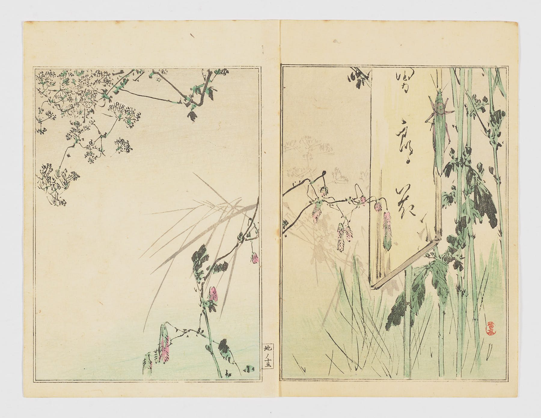Saltamontes y flores silvestres junto a un poema tanzaku