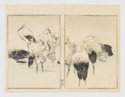 Garzas en la orilla